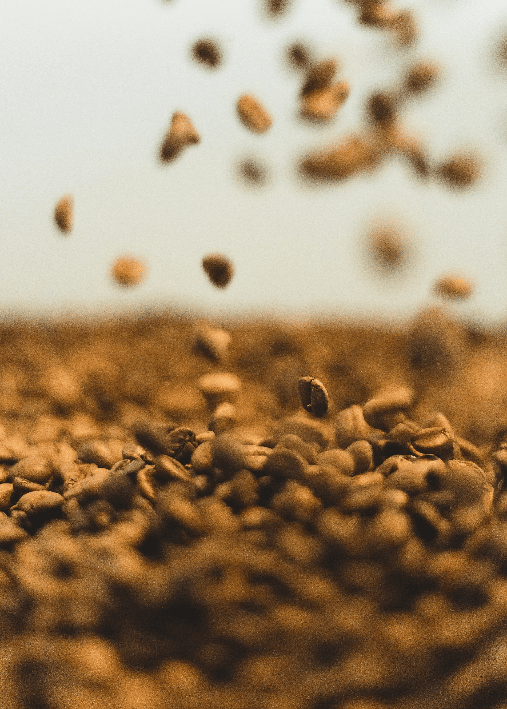 Colombia Dark Roast